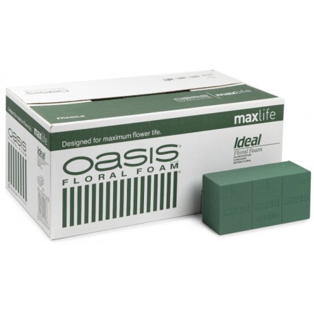 Caja de esponja OASIS - 20 piezas