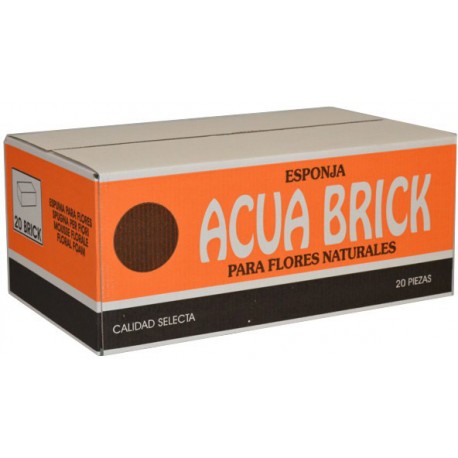 Caja de esponjas Acua Brick