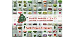 Pack Flores Premium