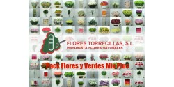 Pack Flores Y Verdes Mix Plus 