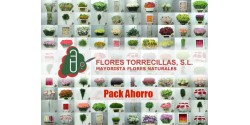 Pack ECO Torrecillas 